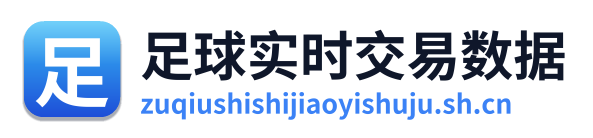 足球实时交易数据 Logo